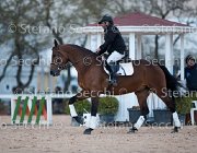 Novella del Castegno Tosc Tour2013- S5 1883 : Arezzo, Cavalli d'Italia, Novella del Castegno, Toscana Tour 2013, foto di Stefano Secchi ©